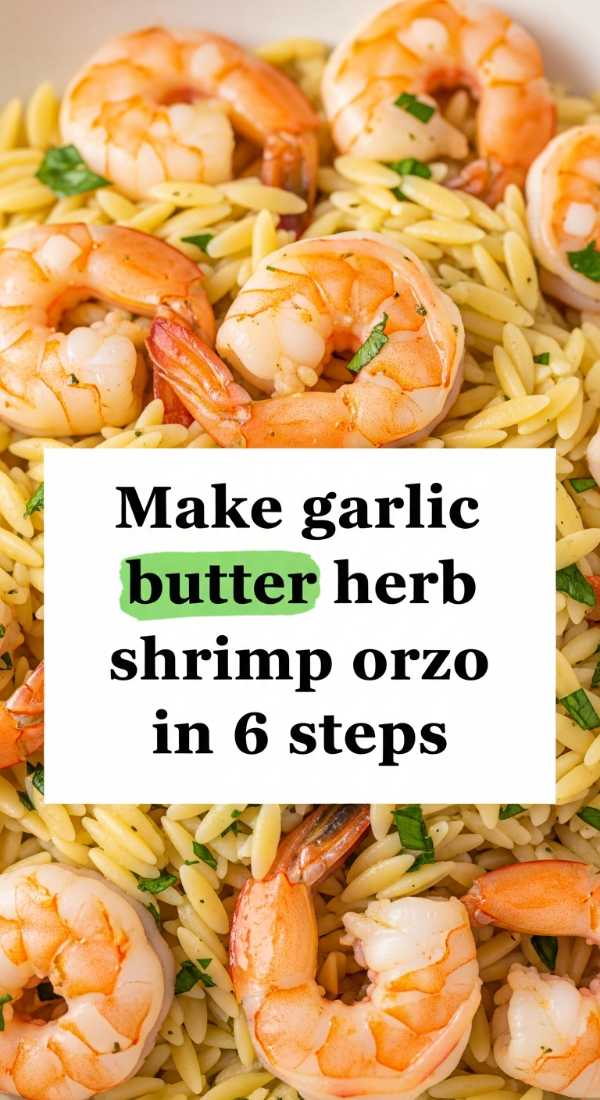 Make Garlic Butter Herb Shrimp Orzo In 6 Steps 69f47b3fc0b49