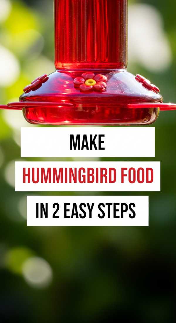 Make Hummingbird Food In 2 Easy Steps 6a10d08beb910