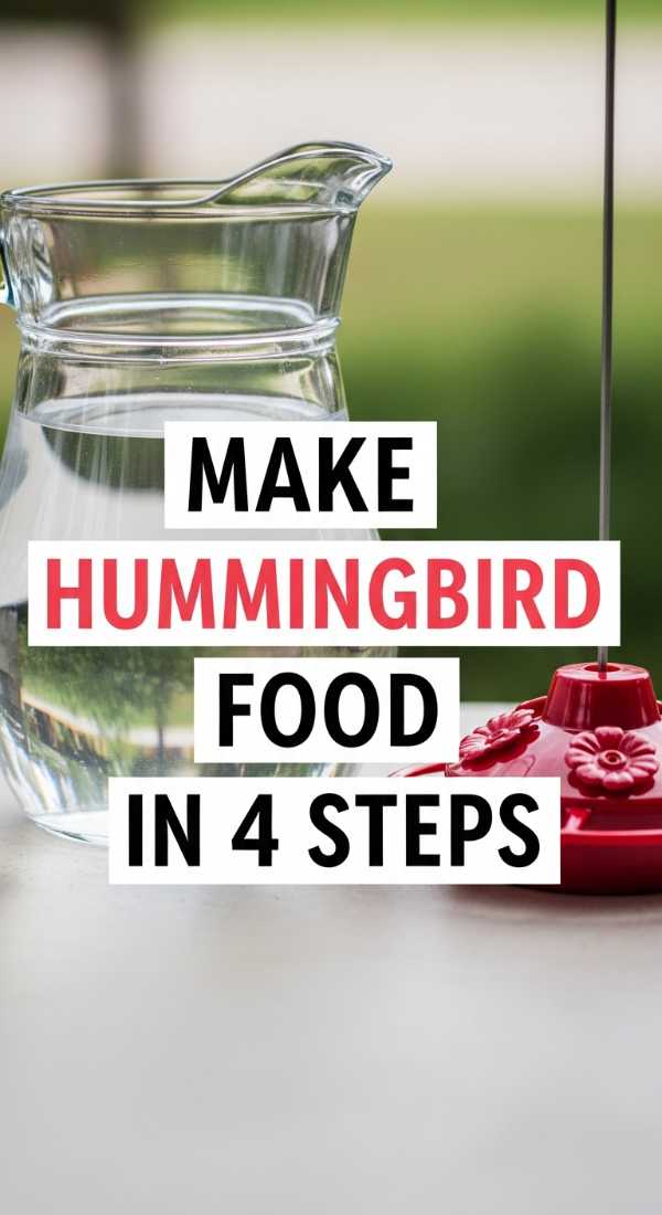 Make Hummingbird Food In 4 Steps 6a10d066494bb