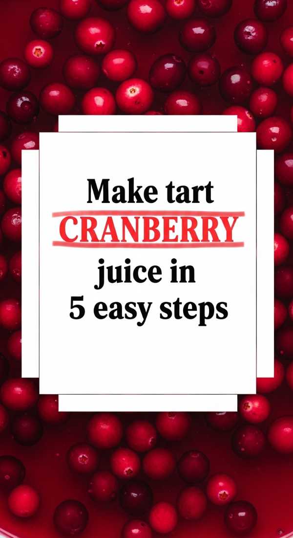 Make Tart Cranberry Juice In 5 Easy Steps 69fc18ffa3b6b
