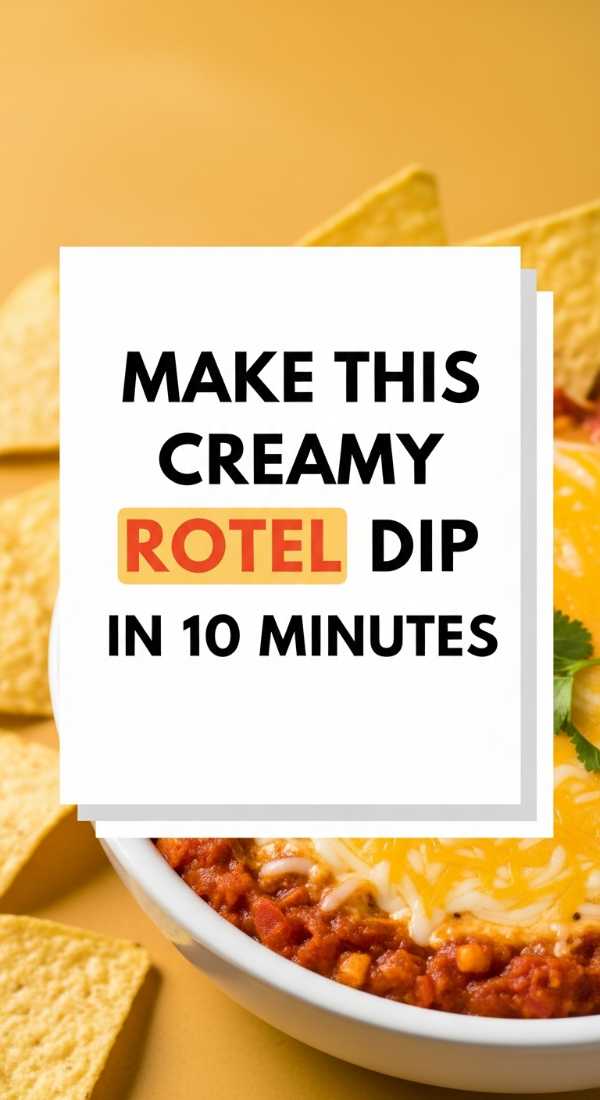 Make This Creamy Rotel Dip In 10 Minutes 6a06c2179bd5f