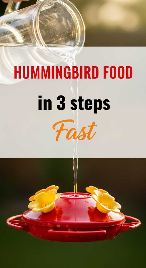 Mix Homemade Hummingbird Nectar In 3 Steps 69f5d74fd7c3d