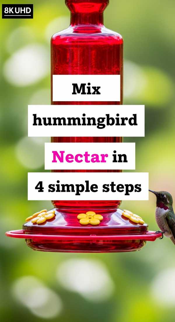 Mix Hummingbird Nectar In 4 Simple Steps 6a0015f86e843