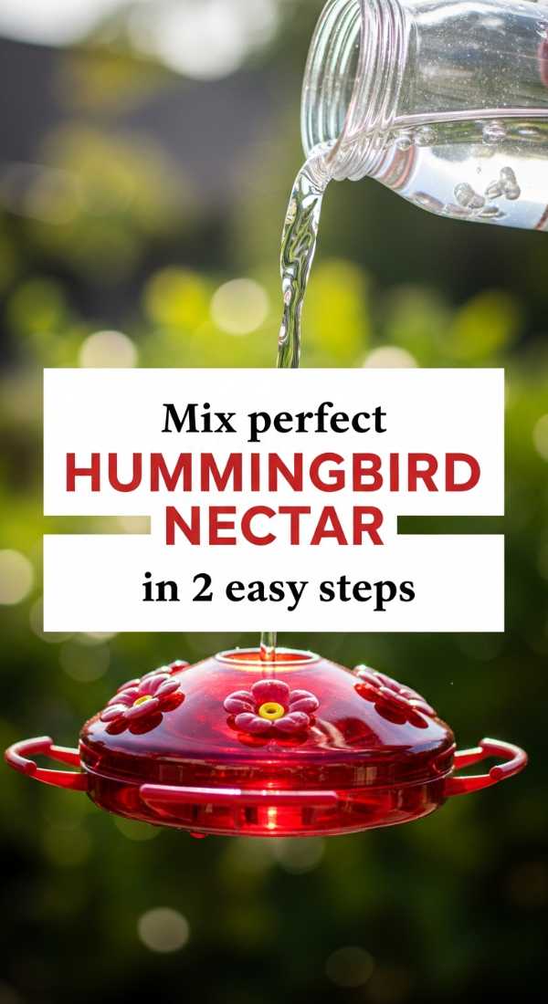 Mix Perfect Hummingbird Nectar In 2 Easy Steps 69f4474c55201