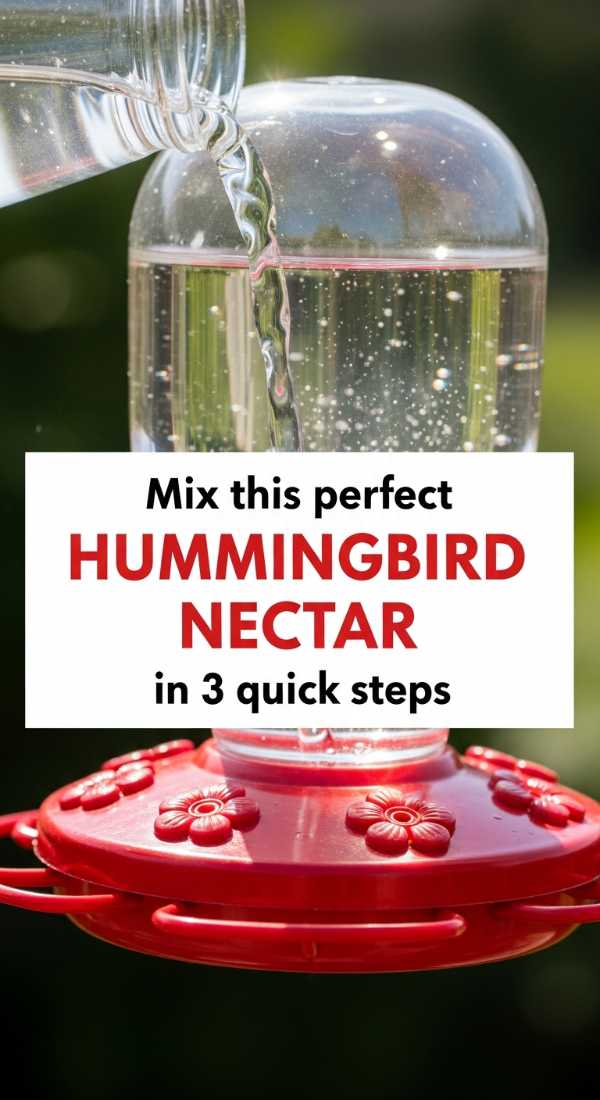 Mix This Perfect Hummingbird Nectar In 3 Quick Steps 6a109537d4c40