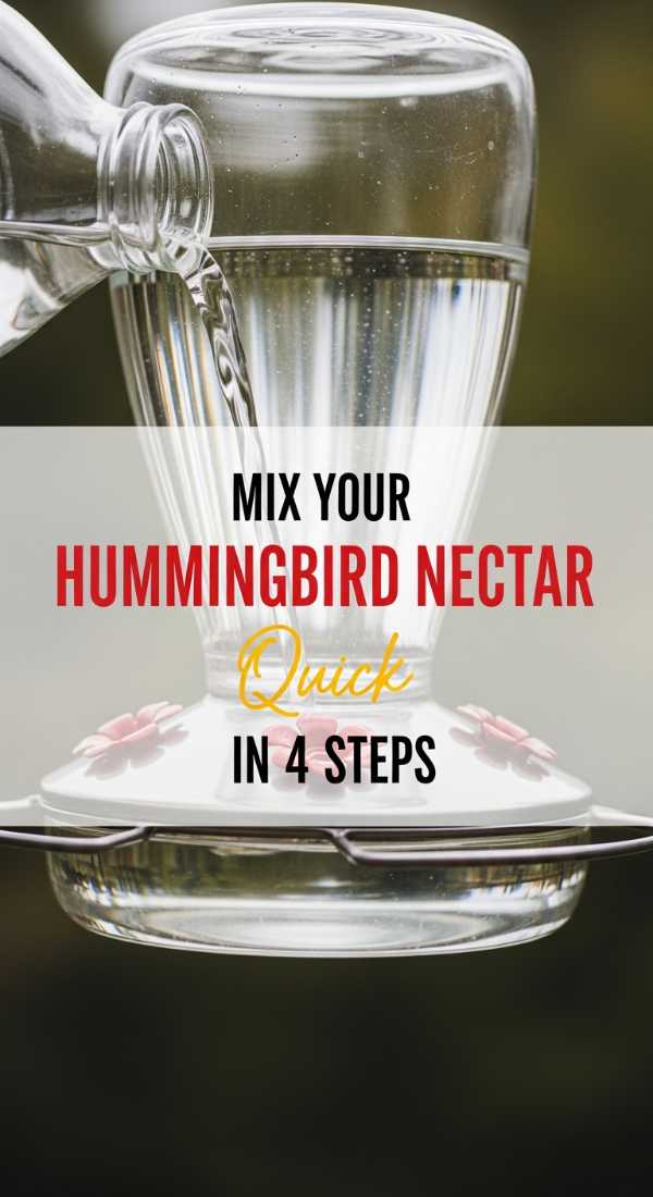 Mix Your Hummingbird Nectar In 4 Quick Steps 69f5d5318b724