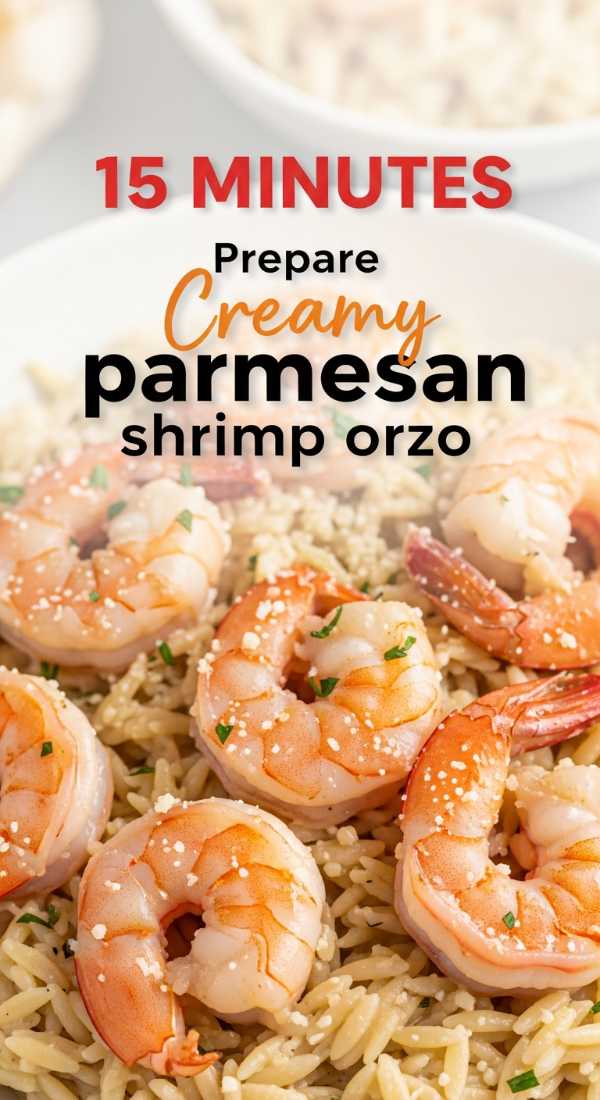 Prepare Creamy Parmesan Shrimp Orzo In 15 Minutes 69f4514a1e1b7