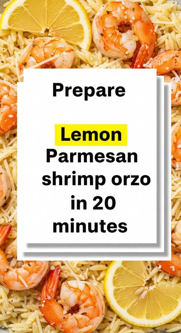 Prepare Lemon Parmesan Shrimp Orzo In 20 Minutes 69f47c73ce074