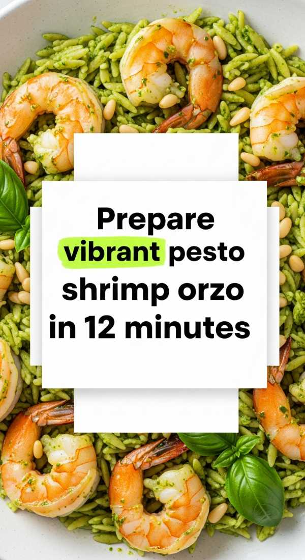 Prepare Vibrant Pesto Shrimp Orzo In 12 Minutes 69f47b3fe0645