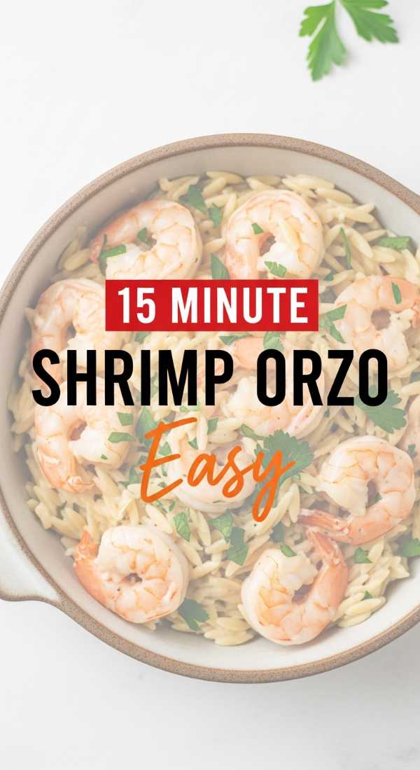 Prepare Your 15 Minute Shrimp Orzo In 5 Steps 6a020518771c9