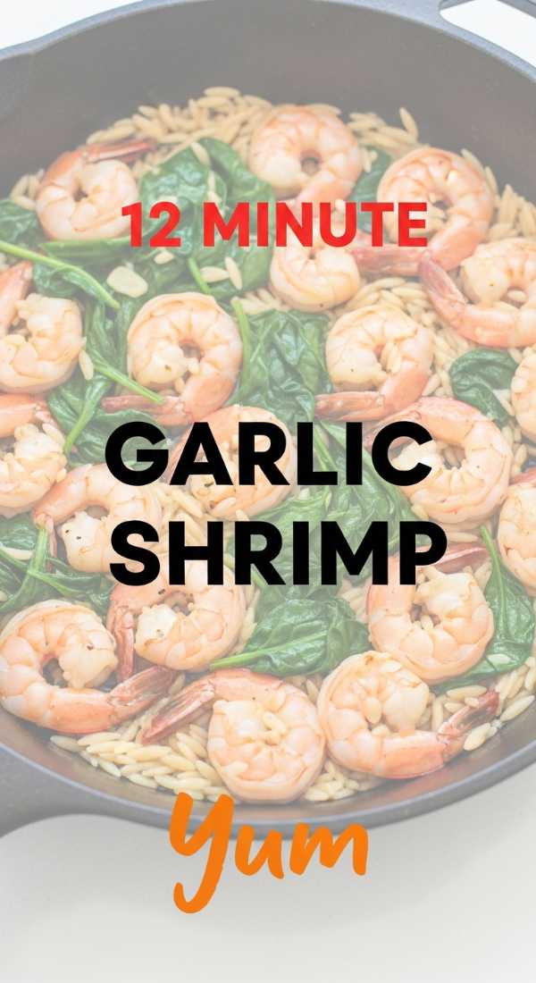 Prepare Your Garlic Shrimp And Orzo In 12 Minutes 6a020519df390