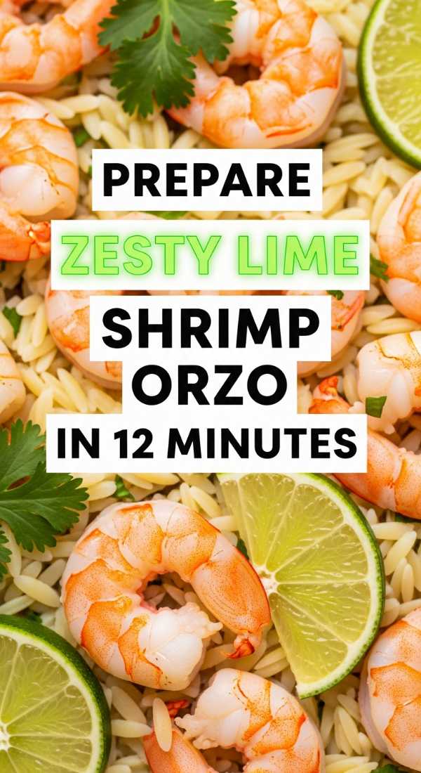 20-Minute Gourmet: Our Best Shrimp Orzo Collection Prepare Zesty Lime Shrimp Orzo In 12 Minutes 69f6fdfe3710d